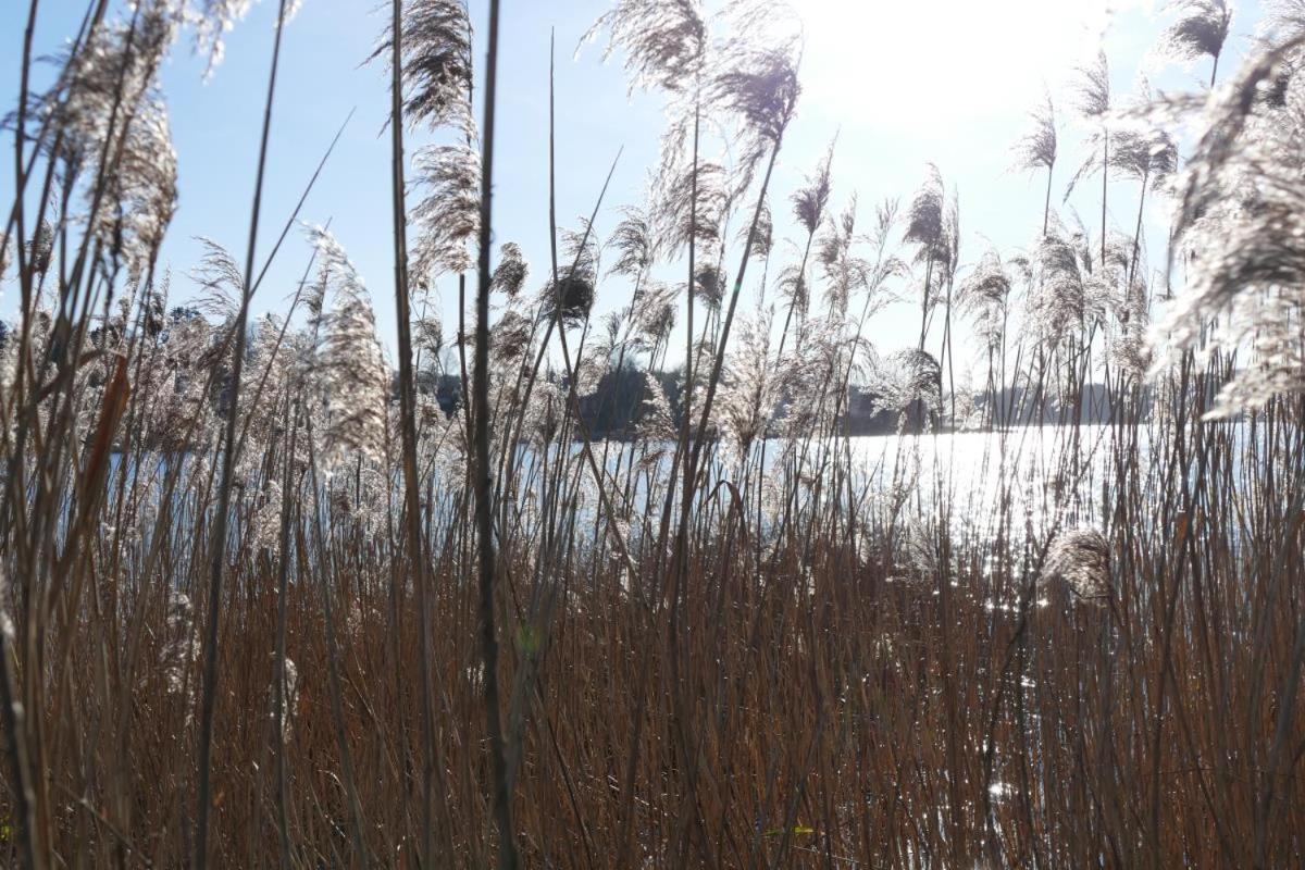 Landhaus Am See App. 2 Ponitz am See Екстериор снимка