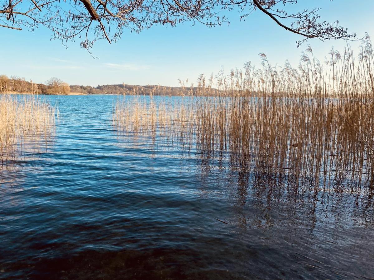 Landhaus Am See App. 2 Ponitz am See Екстериор снимка